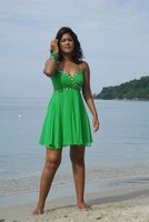 Soumya Gallery